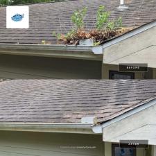 Gutter cleaning