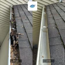 Gutter Cleaning 2