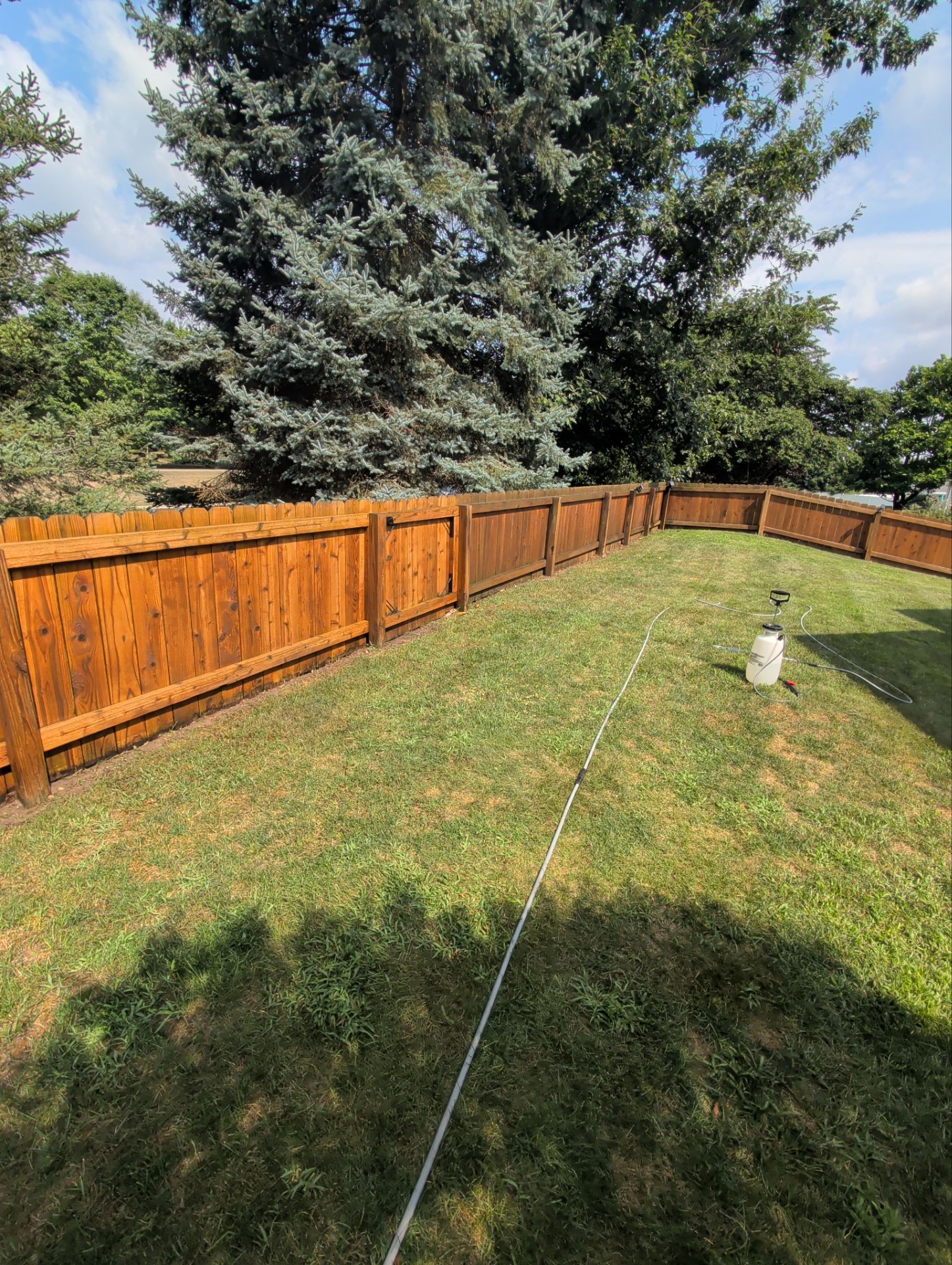 Top quality wood restoration portage Michigan 